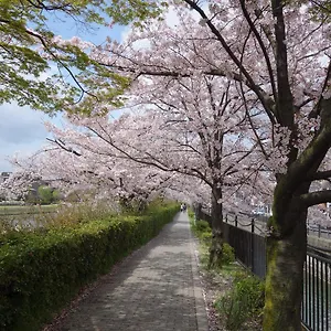 https://hotel-kyoto-612-8411.hotels-in-kyoto.org